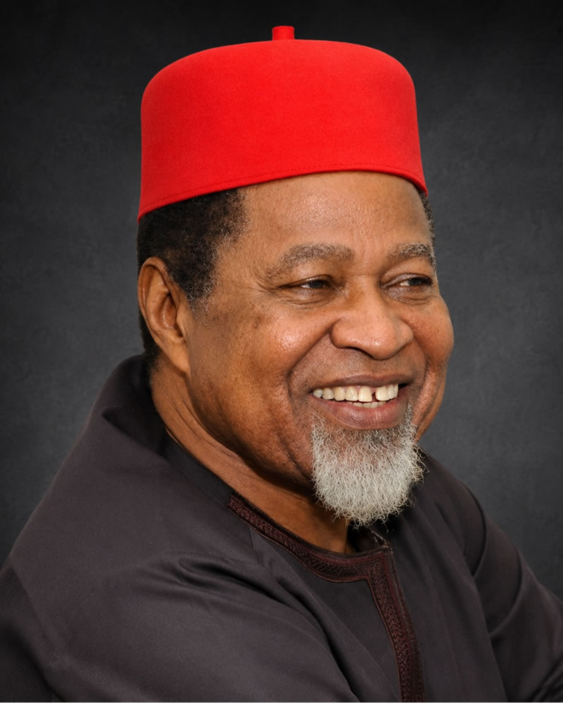 Chief (Dr) Bestman P. Anekwe — Chairman, NIPCO PLC